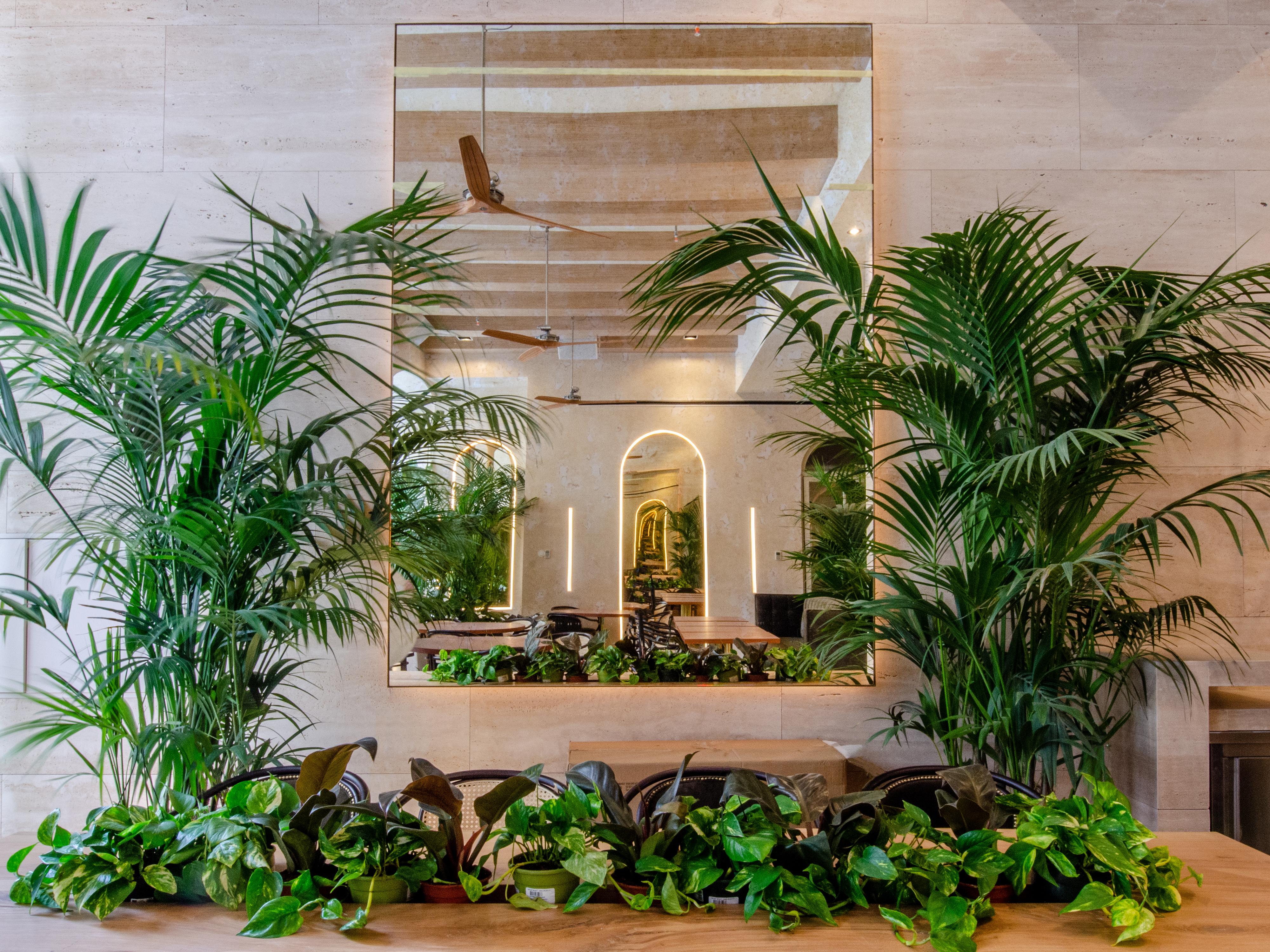 Browns Avenue 5* Lisbon